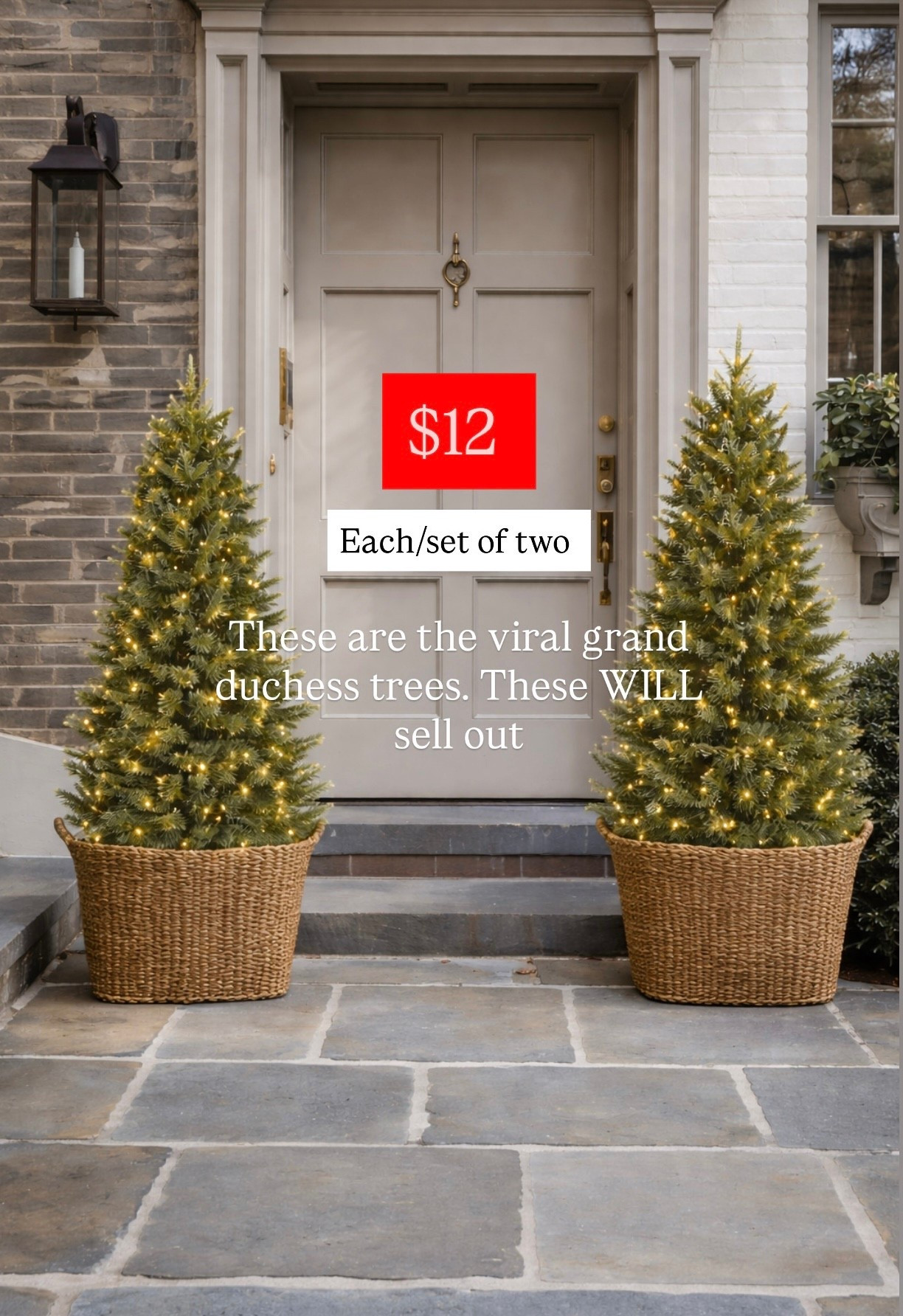 Run for these the viral grand Duchess tree from Home Depot. These are the 3 foot pre-lit outdoor trees. They’re only $24.75 percent off right now.

#LTKHoliday #LTKSaleAlert #LTKHome