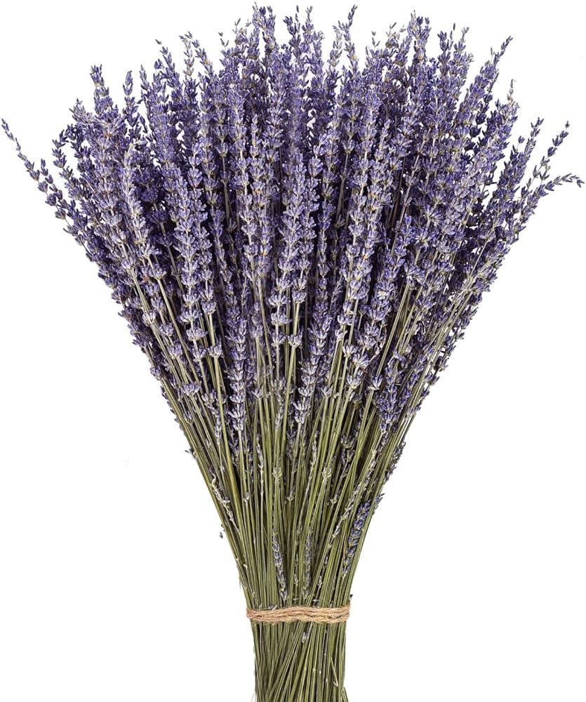 June Fox Dried Lavender Flowers 270-300 Stems 100% Natural Dried Lavender Bunches for Home Deco... | Amazon (US)