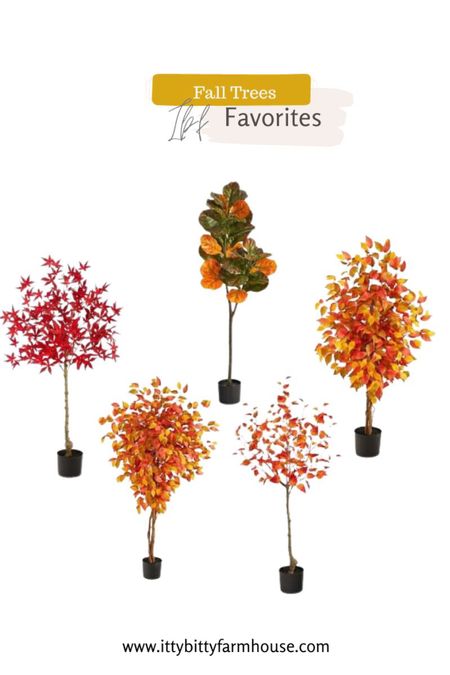 Fall trees that are all under $100 and they make the fall color pop! 

#LTKhome #LTKSeasonal #LTKunder100