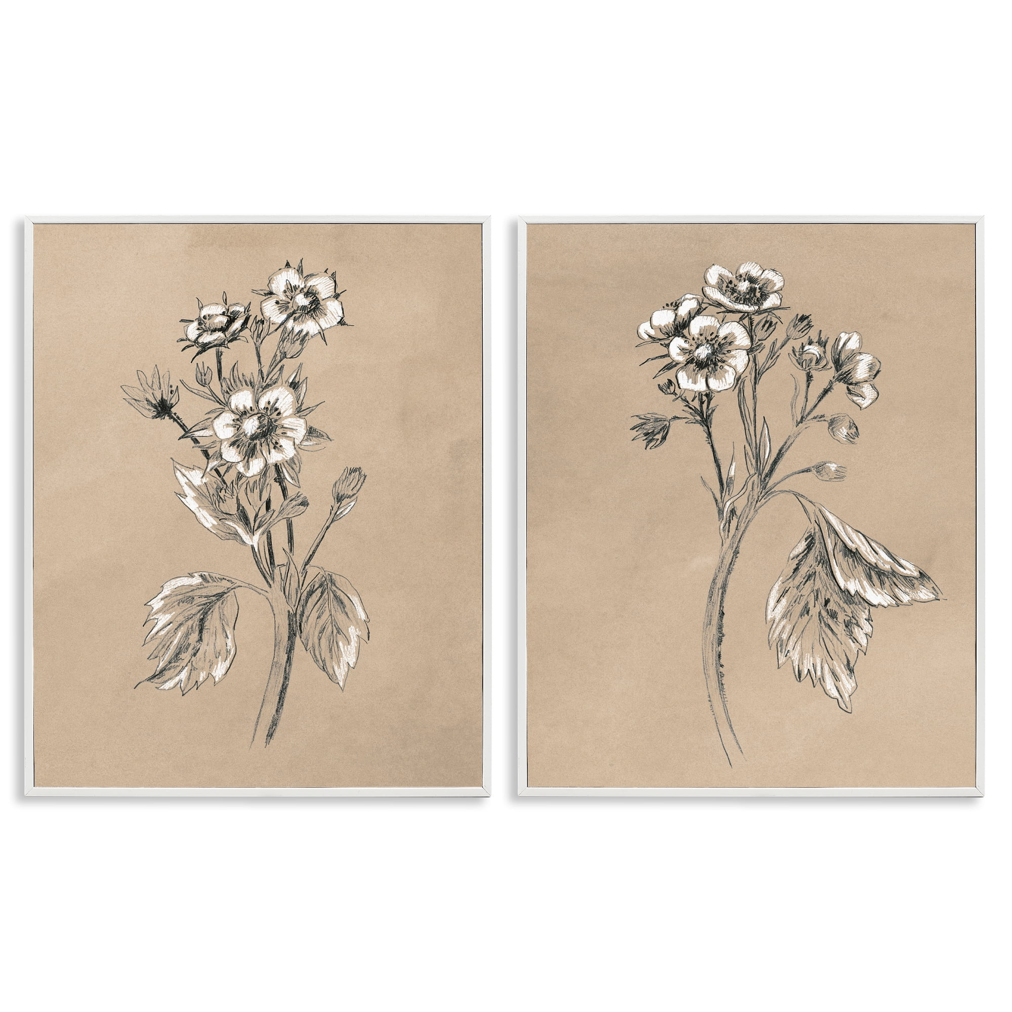 Stupell Industries Vintage Sketch Botanical Plants & Flowers Drawing White Framed Art Print Wall ... | Walmart (US)