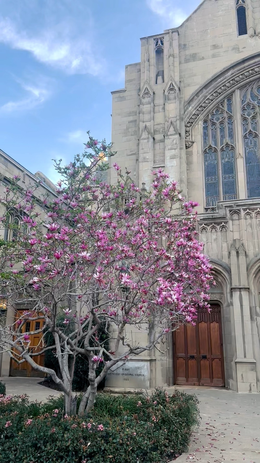 Spring is coming. 

#LTKValentine #LTKTravel