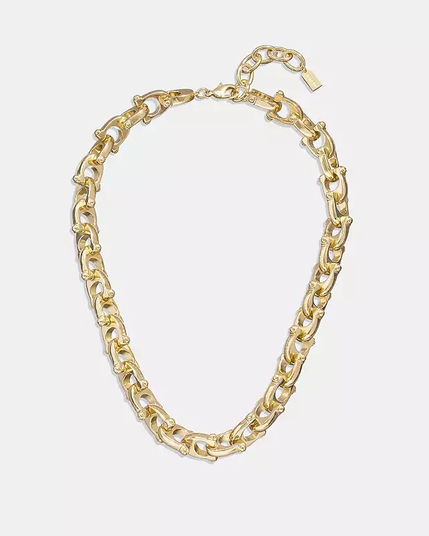 Chunky Signature Chain Link Necklace | Coach (US)