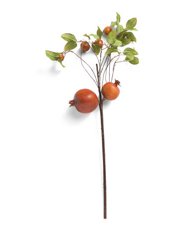 Pomegranate Branch | TJ Maxx