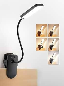 Clip on Light,9 Brightness+5 Colors Rechargeable Lamp,4000mAh Battery Powered Lamp,450 Lumen 48 L... | Amazon (US)