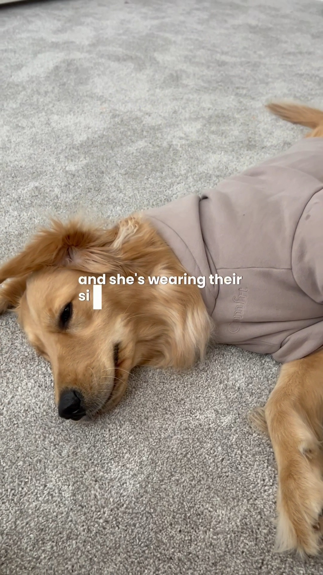 Our favorite clothing brand is having a flash sale!!!