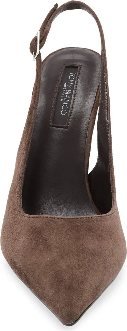 Asti Slingback Pointed Toe Pump (Women) | Nordstrom