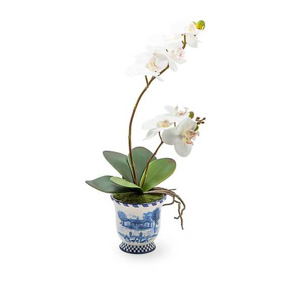 MacKenzie-Childs | Royal Toile Potted Orchid - Medium | MacKenzie-Childs