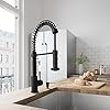 VIGO Edison Matte Black Pull-Down Spray Kitchen Faucet with Deck Plate | Amazon (US)