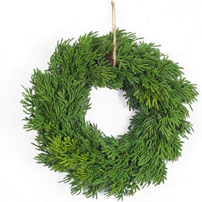 Melrose Modern Home Decorative Pine Wreath (Set of 6) 11.5" D Plastic | Amazon (US)