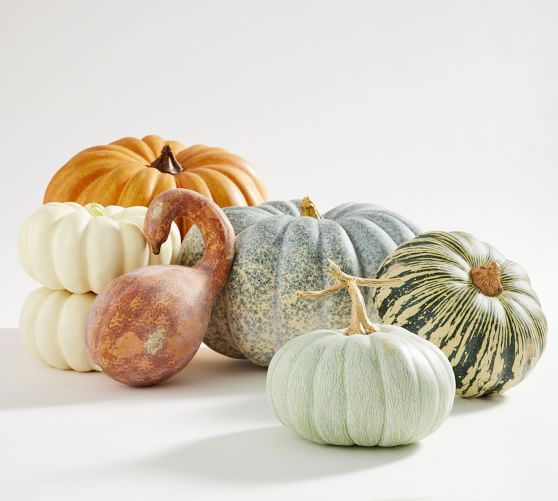 Faux Pumpkins & Gourds | Pottery Barn (US)
