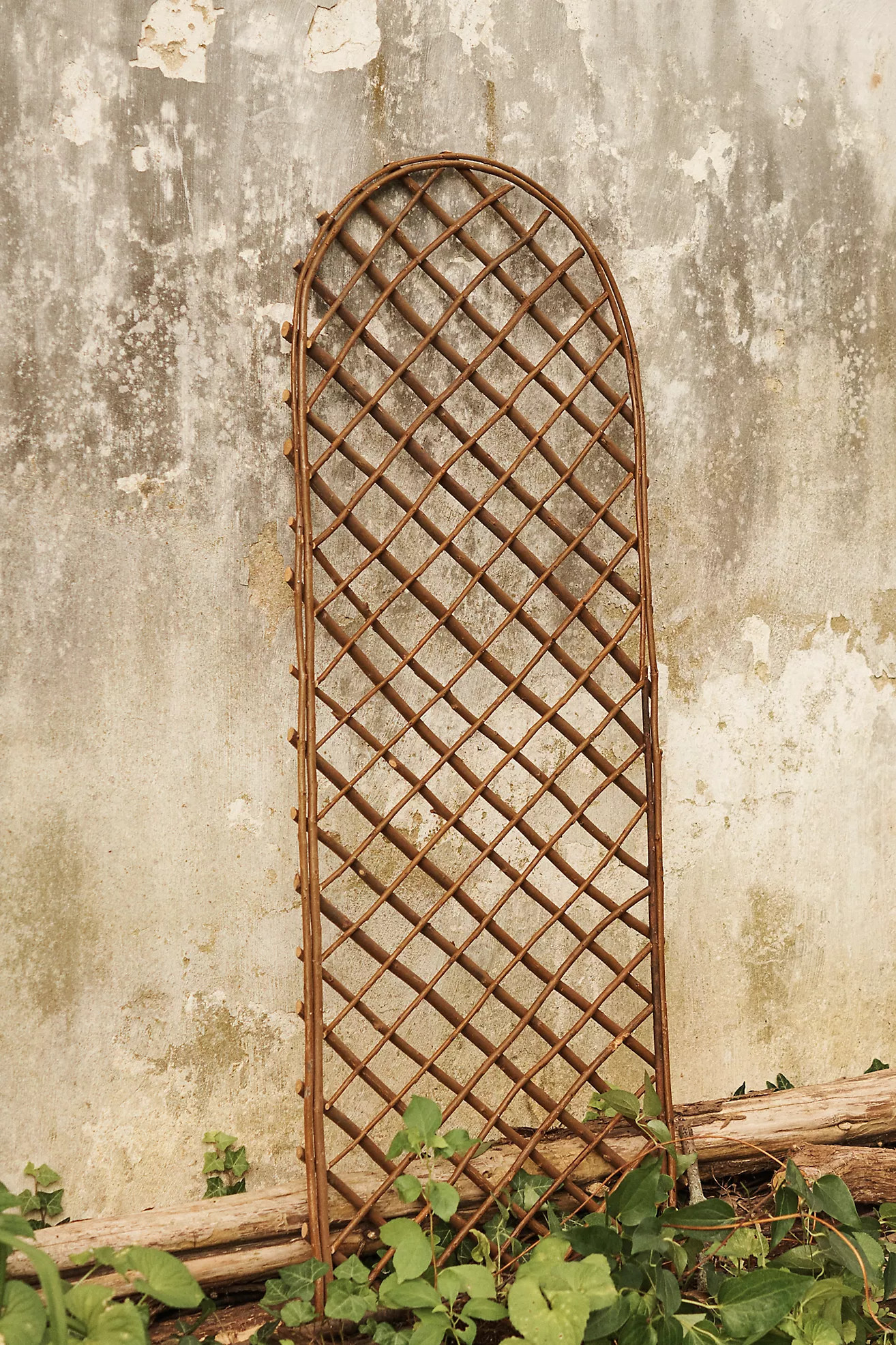 Rounded Top Willow Trellis, Set of 2 | Terrain