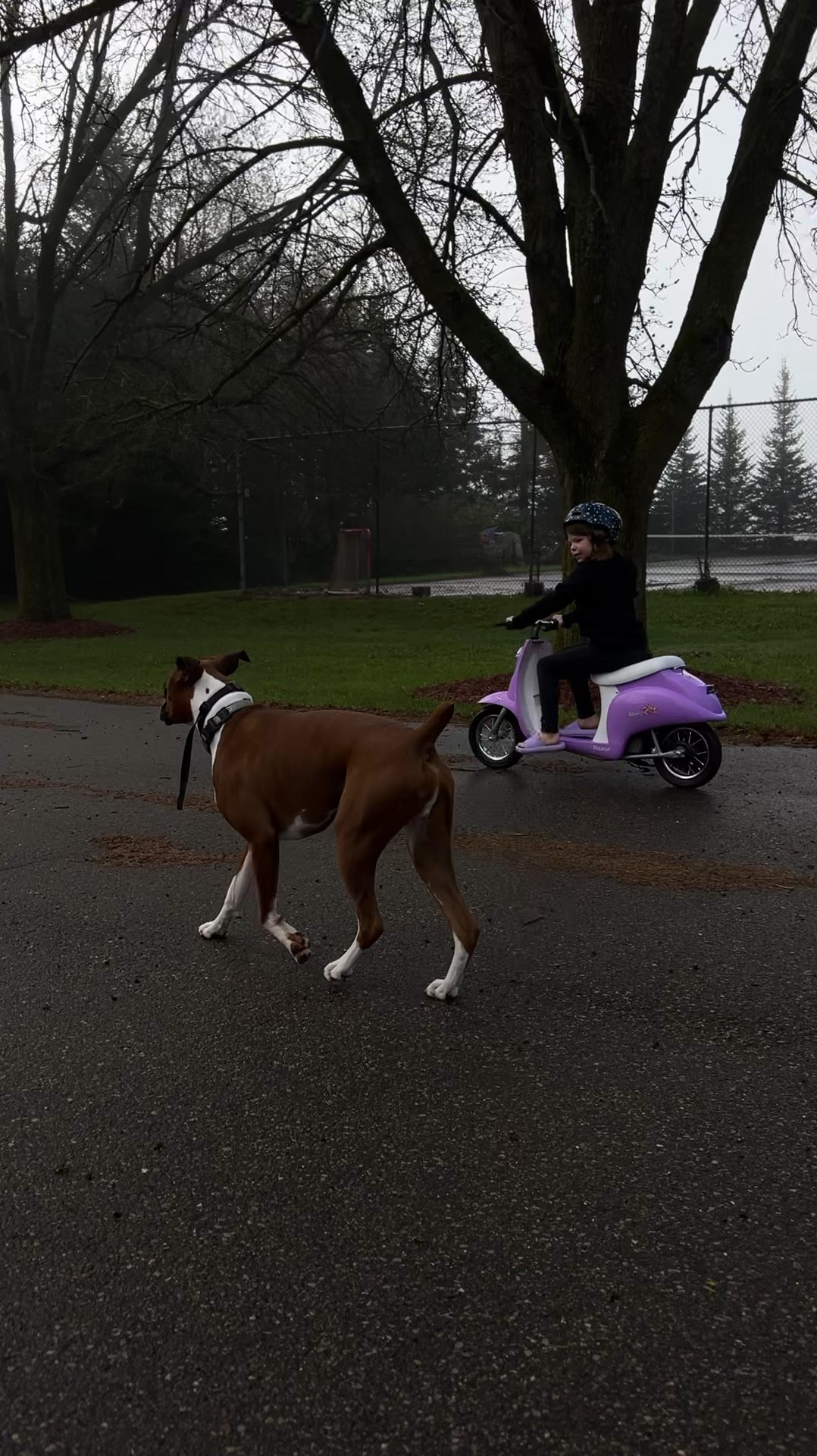 The perfect birthday gift for my 8 year old! 

#LTKKids