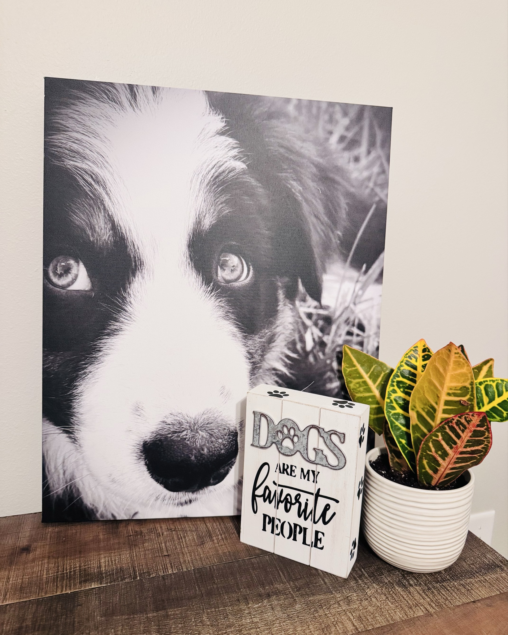 There’s just something about bringing home a new plant from Lowe’s 🌿 It instantly makes the house feel more alive and cozy.

I love that live plants don’t just look pretty — they help clean the air, boost your mood, and make any space feel calm and inviting. A little green goes a long way!

Anyone else always end up in the plant section at Lowe’s? 💚

#lowes #liveplants #cleanair #moodbooster 

#LTKmomlife #LTKHome #LTKdayinmylife