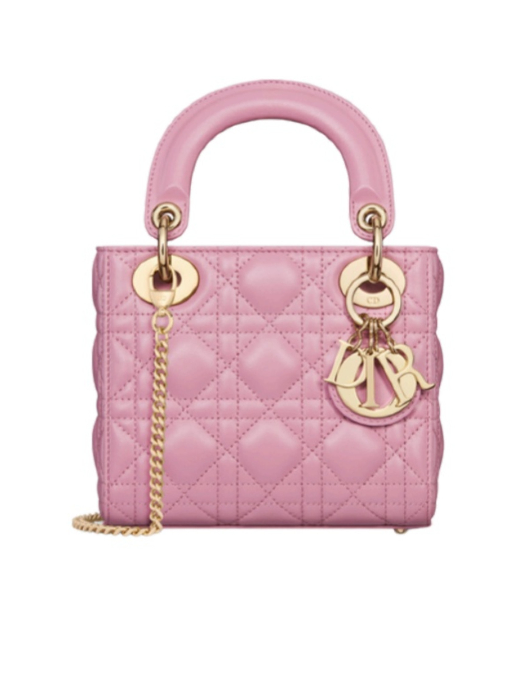 Mini Lady Dior Bag | Senser US