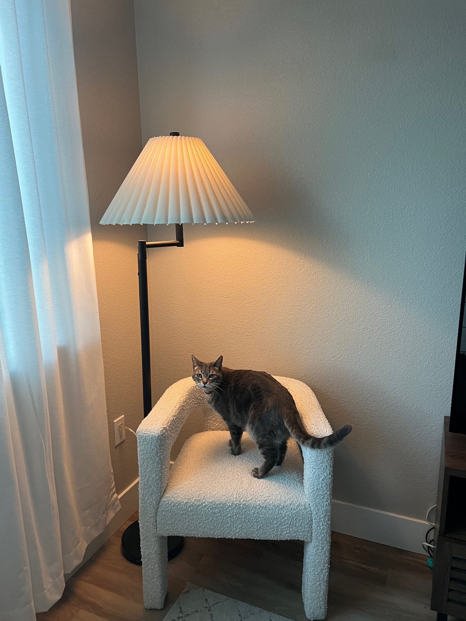 Cute little reading corner! 

#LTKhome #LTKsalealert #LTKFind