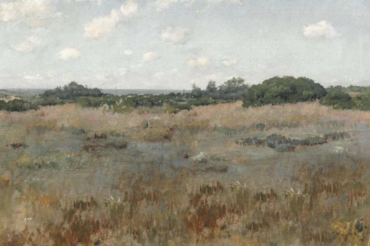 Coastal Prairie | Collection Prints