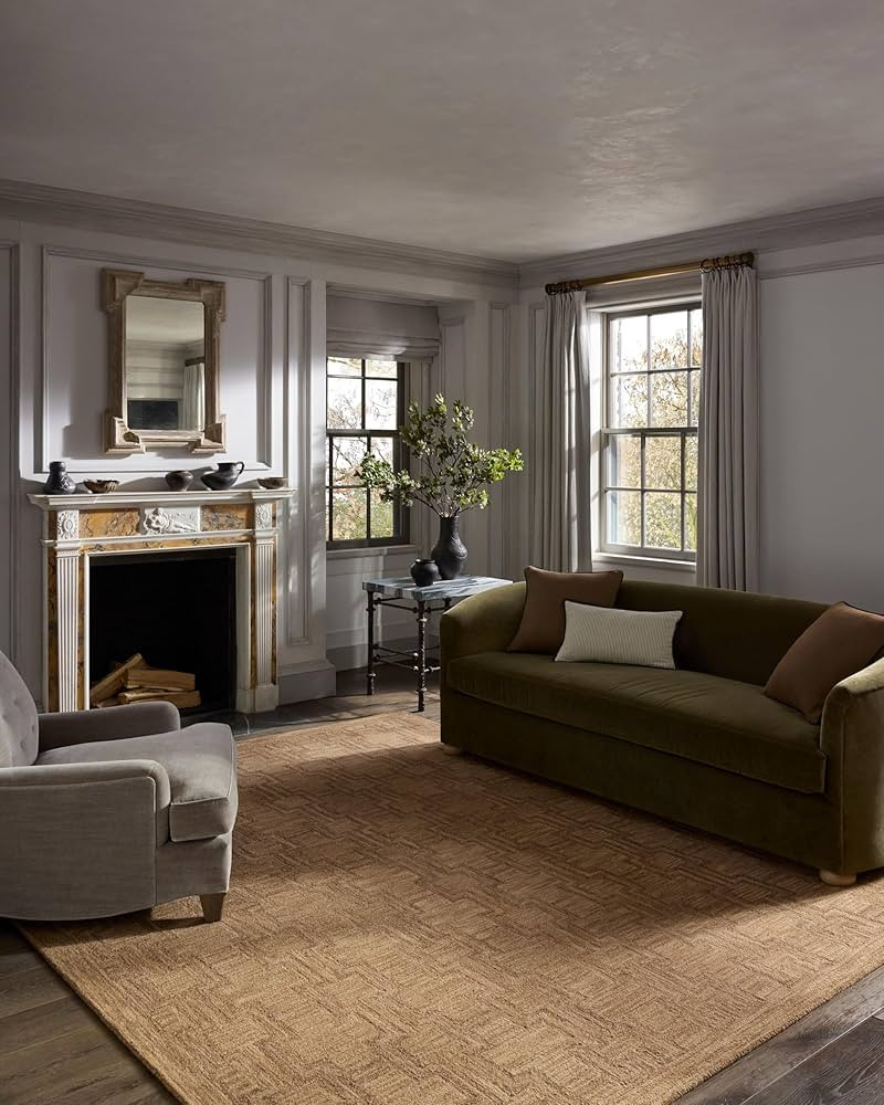 Loloi Jeremiah Brent Barrow Collection BAR-02 Camel/Brown 8'-6" x 11'-6" Area Rug | Amazon (US)