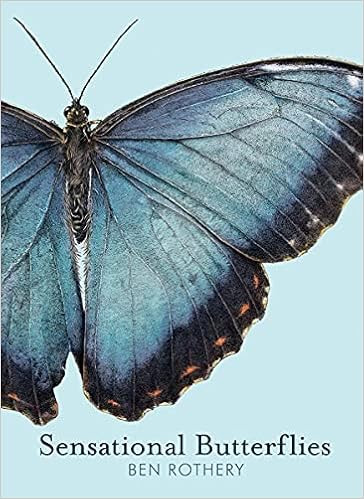 Sensational Butterflies (Rothery's Animal Planet Series) | Amazon (US)