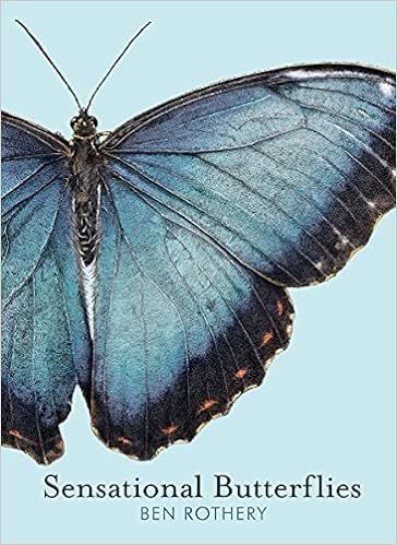 Sensational Butterflies (Rothery's Animal Planet Series) | Amazon (US)