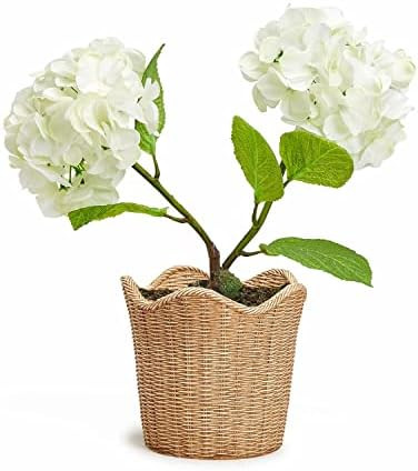 Two's Company Two's Company Scalloped Edge Basket Weave Pattern Cachepot - Resin | Amazon (US)