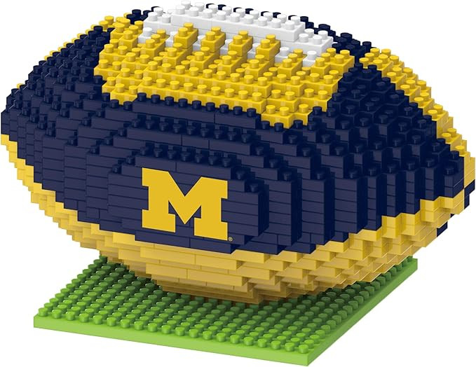 FOCO NCAA Unisex-Adult 3D BRXLZ Team Logo Football | Amazon (US)