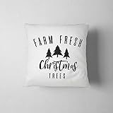 Christmas Decor, Christmas Pillows, Christmas Decorations, Christmas Throw Pillow, Holiday Decor, Ch | Amazon (US)