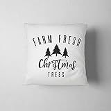 Christmas Decor, Christmas Pillows, Christmas Decorations, Christmas Throw Pillow, Holiday Decor, Ch | Amazon (US)