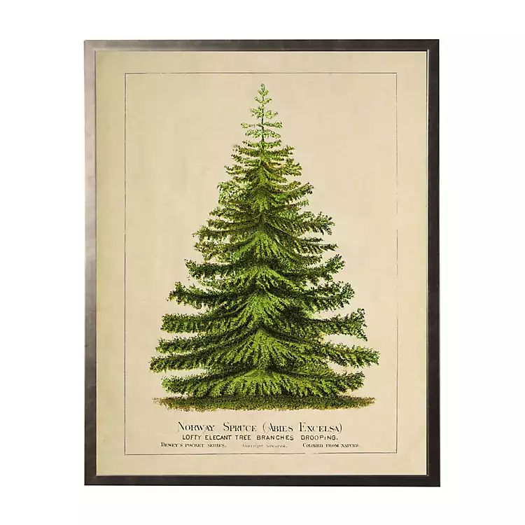 New! Vintage Spruce Tree Framed Art Print | Kirkland's Home