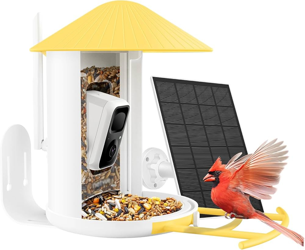 NETVUE Birdfy® Smart Bird Feeder with Camera, Bird Watching Camera Auto Capture Birds & Motion D... | Amazon (US)