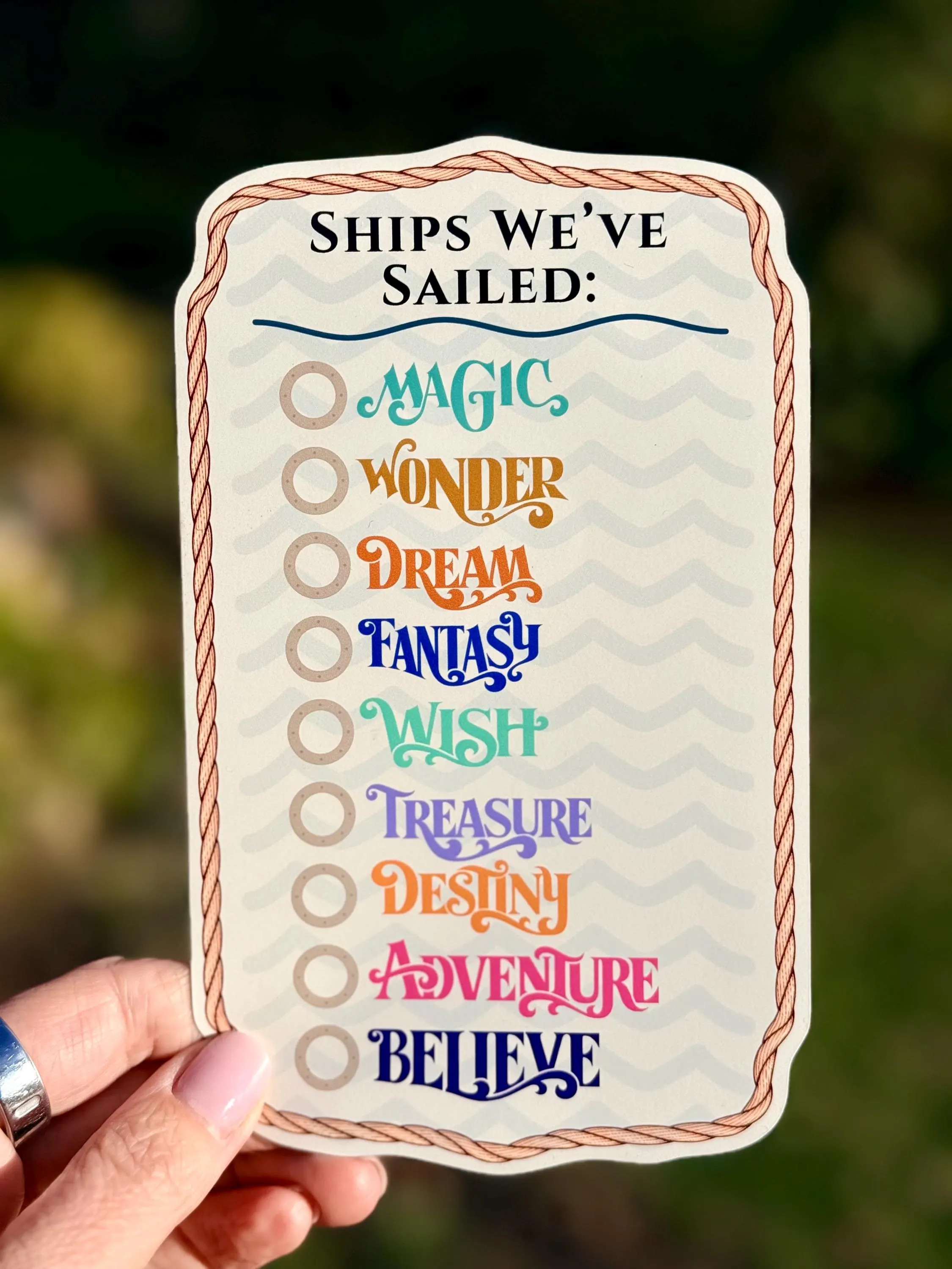 Cruise Ship Tracker Magnet – Ships We’ve Sailed Cruise Magnet – Cruise Door Decoration – Cruise Ship Checklist Magnet – Cruise Lover Gift | Etsy (Global)