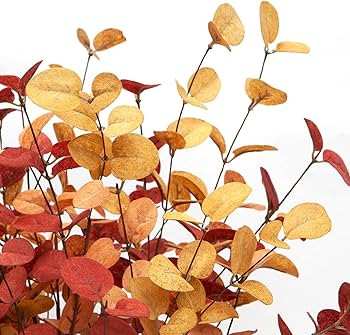 VGIA 6 Pcs Artificial Eucalyptus Stems Fall Decorations with Fall Eucalyptus Leaves Autumn Decora... | Amazon (US)