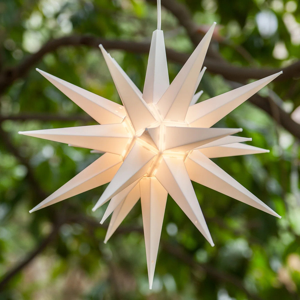 Moravian Star Lighted Display | Wayfair North America