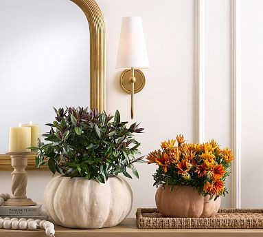 Terracotta Pumpkin Cachepots | Pottery Barn (US)