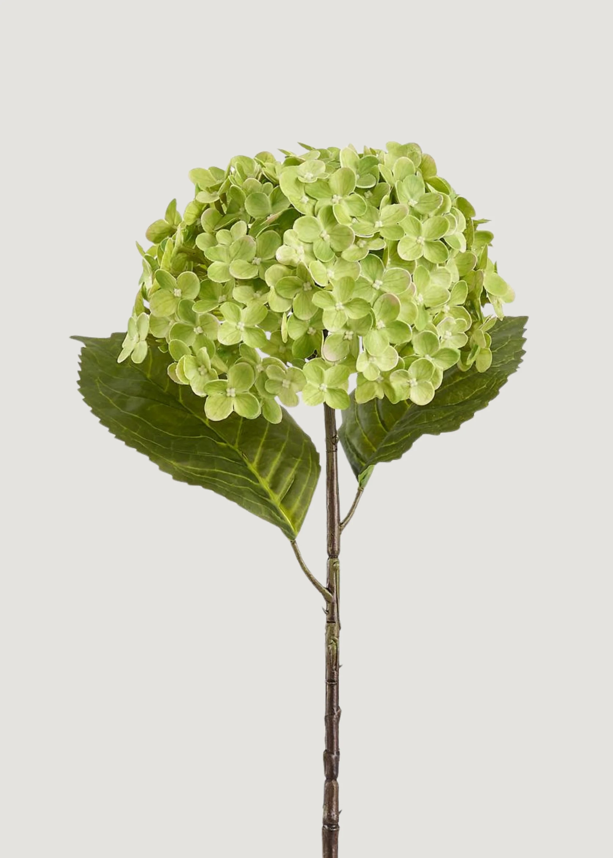 Artificial Hydrangea Flower in Green - 24.5 | Afloral