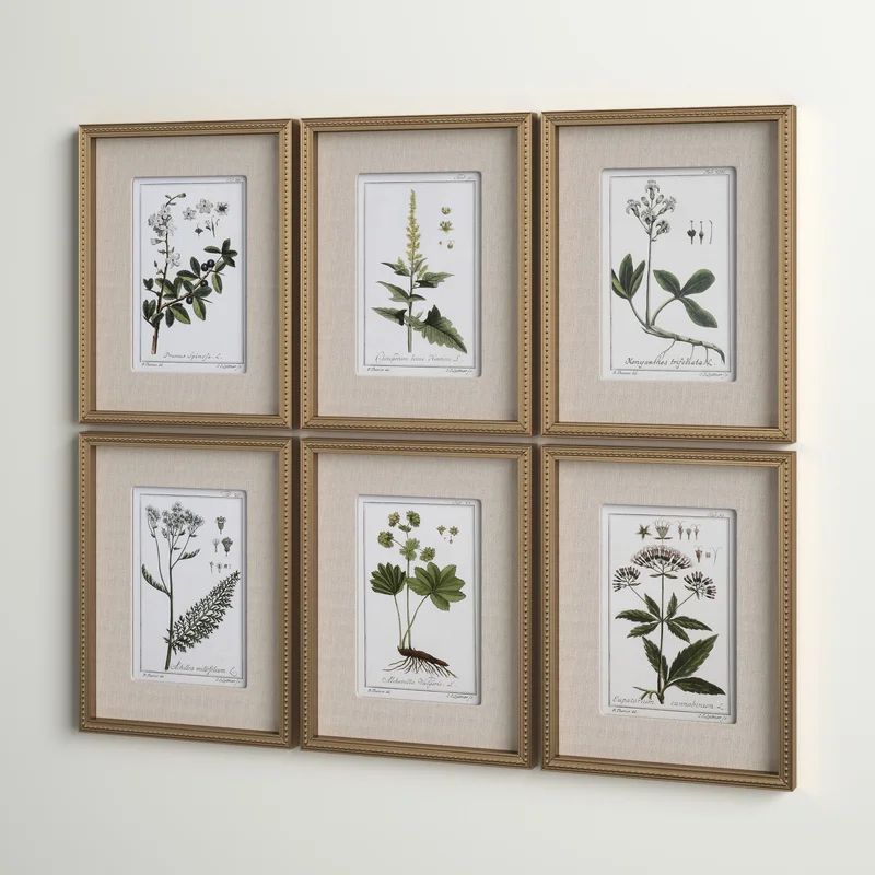 Botanical Study' - 6 Piece Picture Frame Graphic Art Print Set on Paper | Wayfair North America