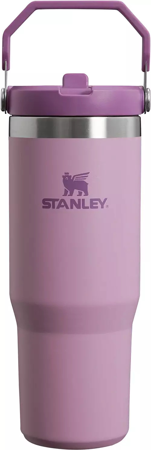 Stanley 30 oz. IceFlow 2.0 Flip Straw Tumbler | DICK'S Sporting Goods