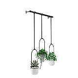 Umbra Triflora Hanging Planter for Window, Indoor Herb Garden, White/Black, Triple | Amazon (US)