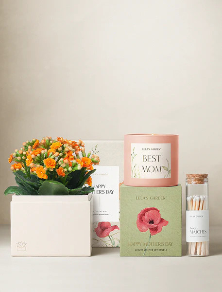 Mother's Day Orange Kalanchoe Garden Gift Set | Lula's Garden
