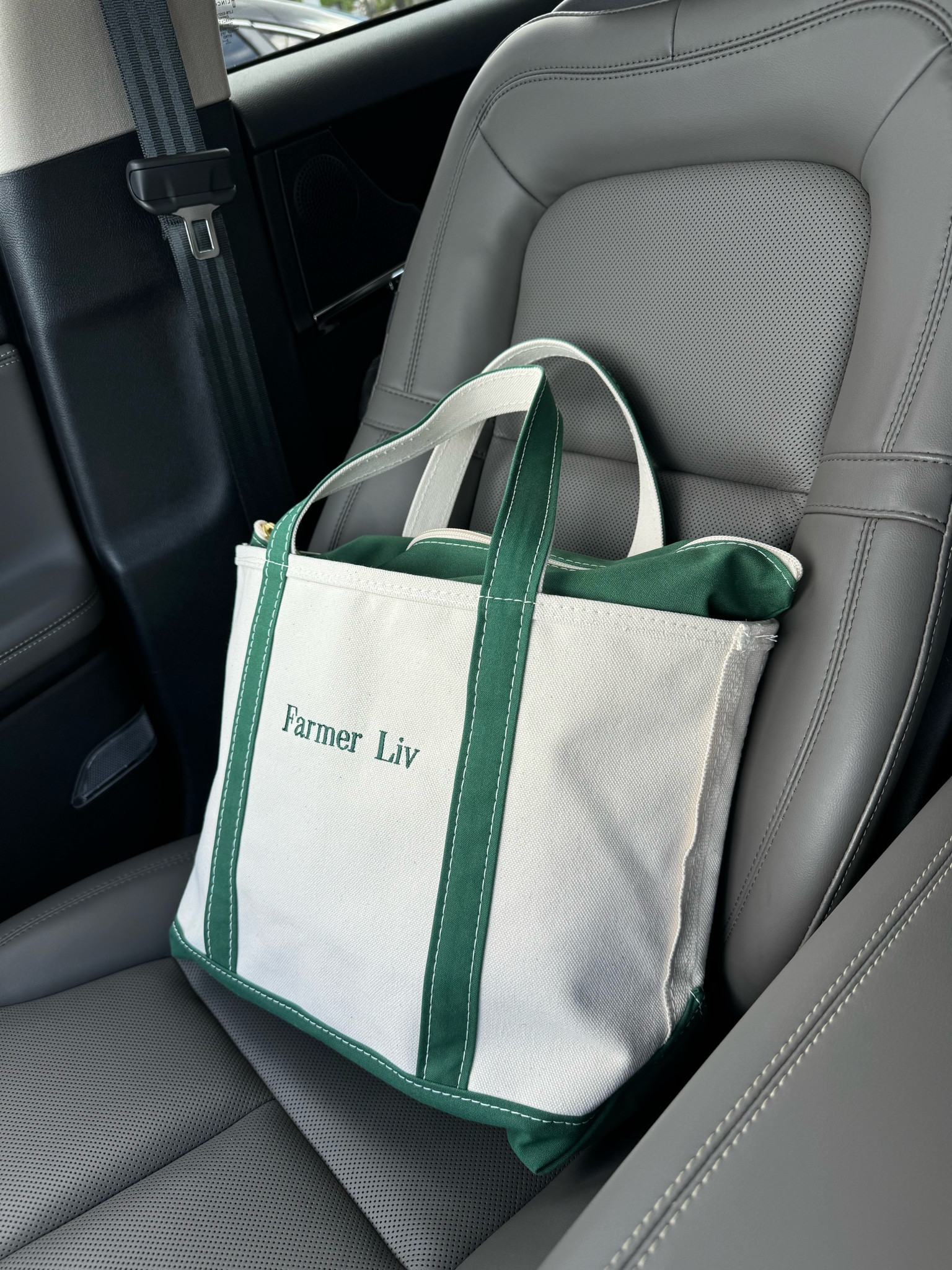 LL Bean Boat and Tote