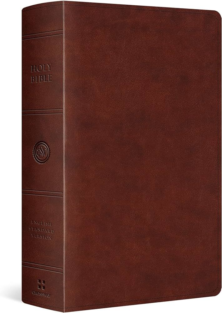 ESV Large Print Personal Size Bible (TruTone, Chestnut) | Amazon (US)