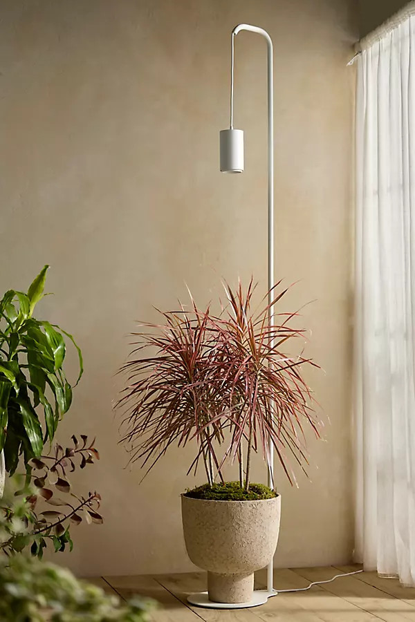 Floor Lamp LED Grow Light | Anthropologie (US)