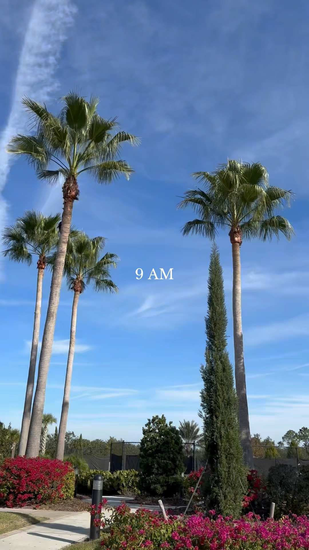 There's nothing better than Florida in the winter! Linking everything I wore.  

 #LTKdayinmylife #LTKootd #LTKTravel