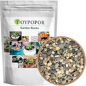 Natural River Rocks 2lb Succulent Cactus Bonsai Pebbles Planter Potting Stones Decorative Polished M | Amazon (US)