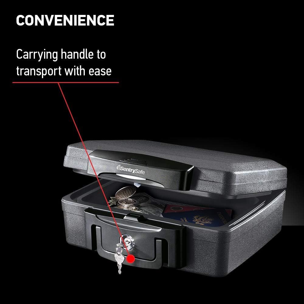 SentrySafe H0100 Fireproof Waterproof Box with Key Lock, 0.17 Cubic Feet, Black | Amazon (US)