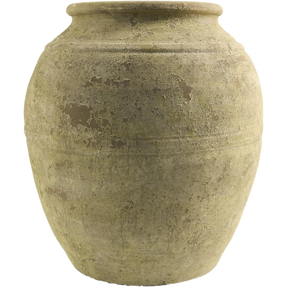 Galey Alix x Livabliss Aarush Vase | Wayfair North America