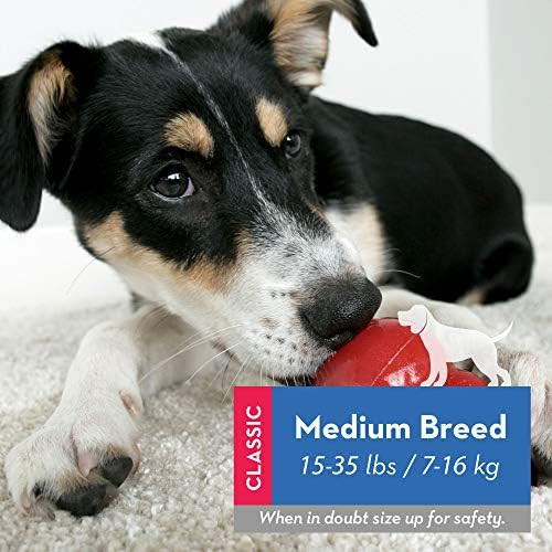 KONG - Classic Dog Toy, Durable Natural Rubber- Fun to Chew, Chase and Fetch | Amazon (US)