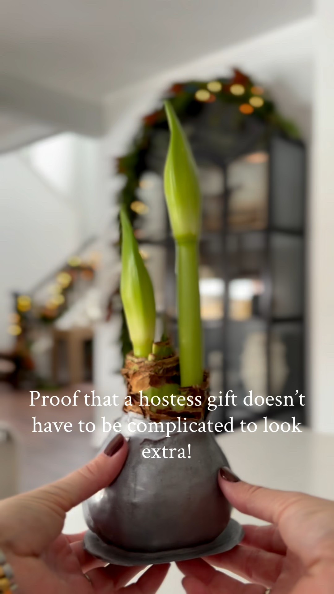 Show up with this and instantly become the favorite guest! I picked up an amaryllis bulb from Trader Joe’s and thought a lantern would be a cute way to gift it. A little ribbon, bells and greenery complete the look! The greenery is just what fell off my garland from last year. 

#LTKHoliday #LTKSeasonal #LTKGiftGuide