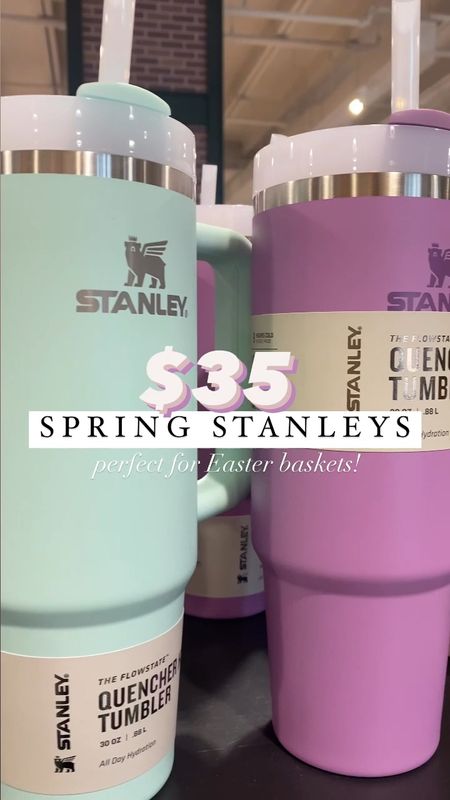 Theses Stanley cups are available in many colors and only $35! 

Easter / Easter basket / teen / toddler / spring / Stanley quencher / tween / viral 

#LTKkids #LTKfamily #LTKfindsunder50