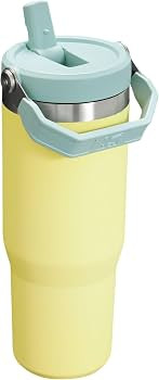 Stanley IceFlow Flip Straw Tumbler with Handle 30 oz | Twist On Lid and Flip Up Straw | Leak Resi... | Amazon (US)