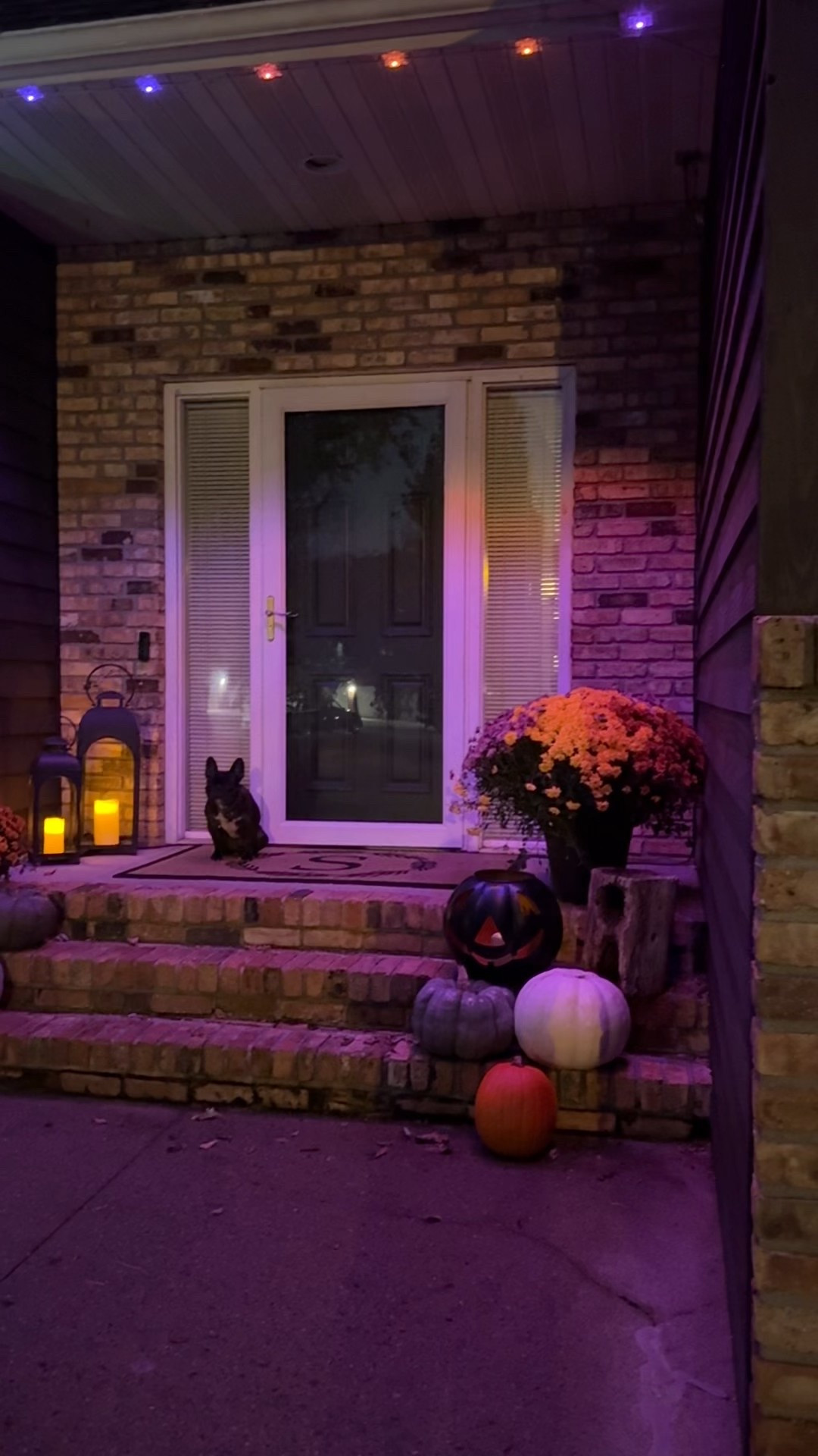 Fall front porch

French bulldog, Halloween, Home Depot, home, Halloween, Thanksgiving, holidays 

#LTKSeasonal #LTKHalloween #LTKHome